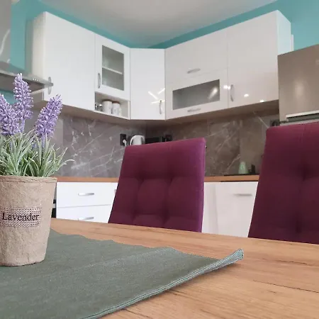 Al Malina 3bdr Family With Parking Space Near Airport And Iec Lägenhet